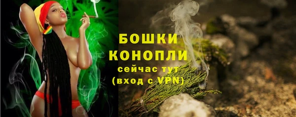 дурь Новодвинск