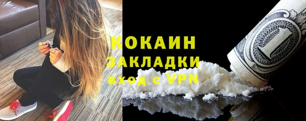 дурь Новодвинск
