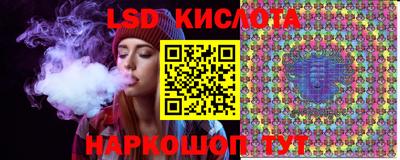 гидропоника Гатчина