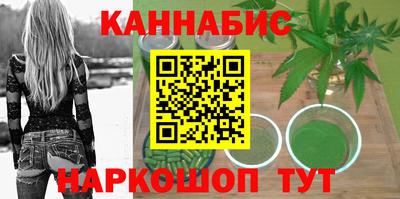 спайс Гай