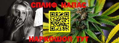 спайс Гай