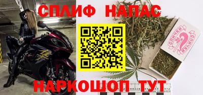 спайс Гай