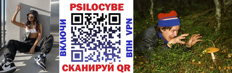 где продают Кизилюрт Галлюциногенные грибы Magic Shrooms