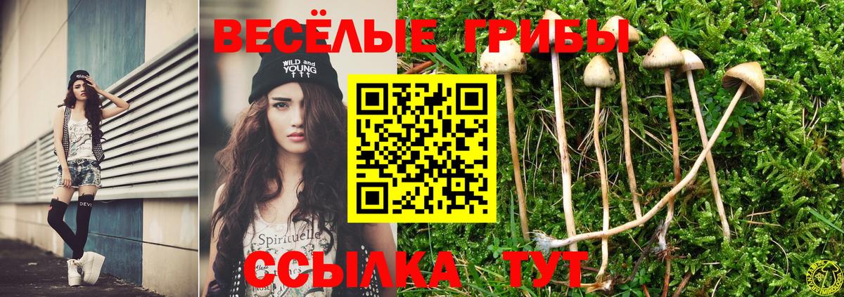 Псилоцибиновые грибы ЛСД  Галлюциногенные грибы Cubensis  Кизилюрт  Вход с VPN 