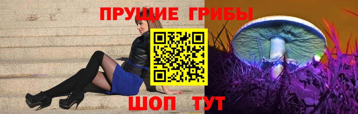 Псилоцибиновые грибы ЛСД Кизилюрт