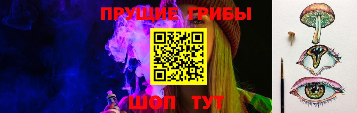 Галлюциногенные грибы Psilocybine cubensis  Кизилюрт 